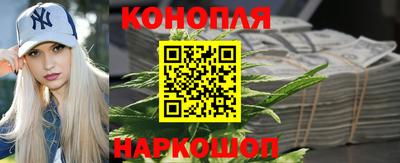 Альфа ПВП Канаш