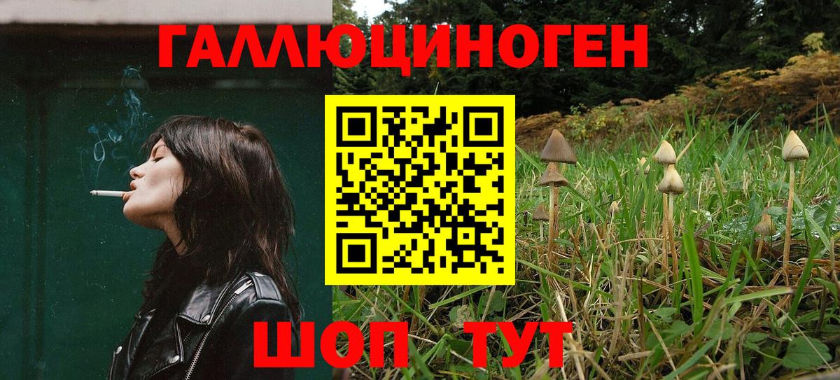 Галлюциногенные грибы MAGIC MUSHROOMS  Галлюциногенные грибы GOLDEN TEACHER  Вход с VPN  Кубинка 